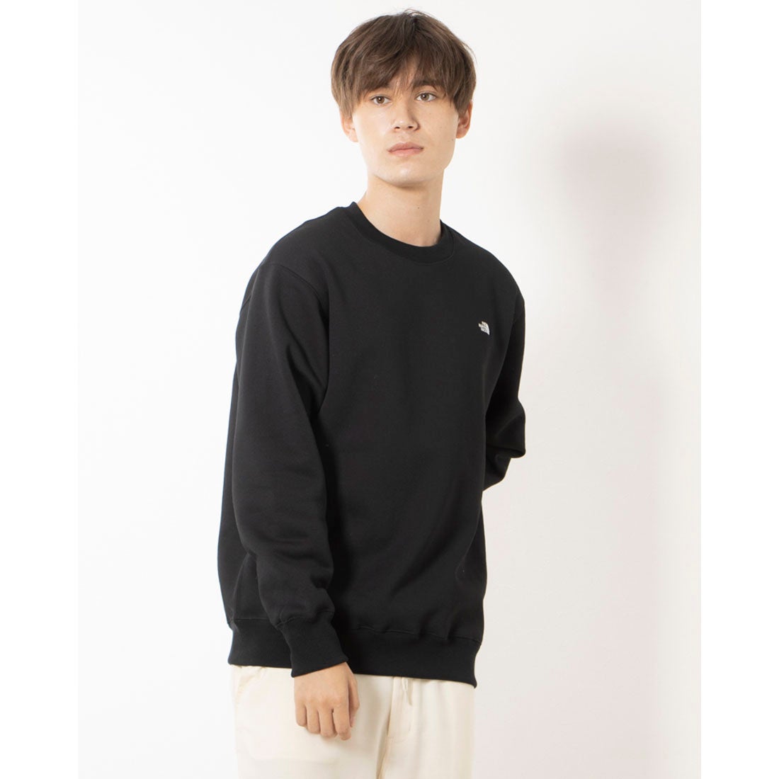 ザ ノース フェイス THE NORTH FACE スウェットトレーナー Small Logo
