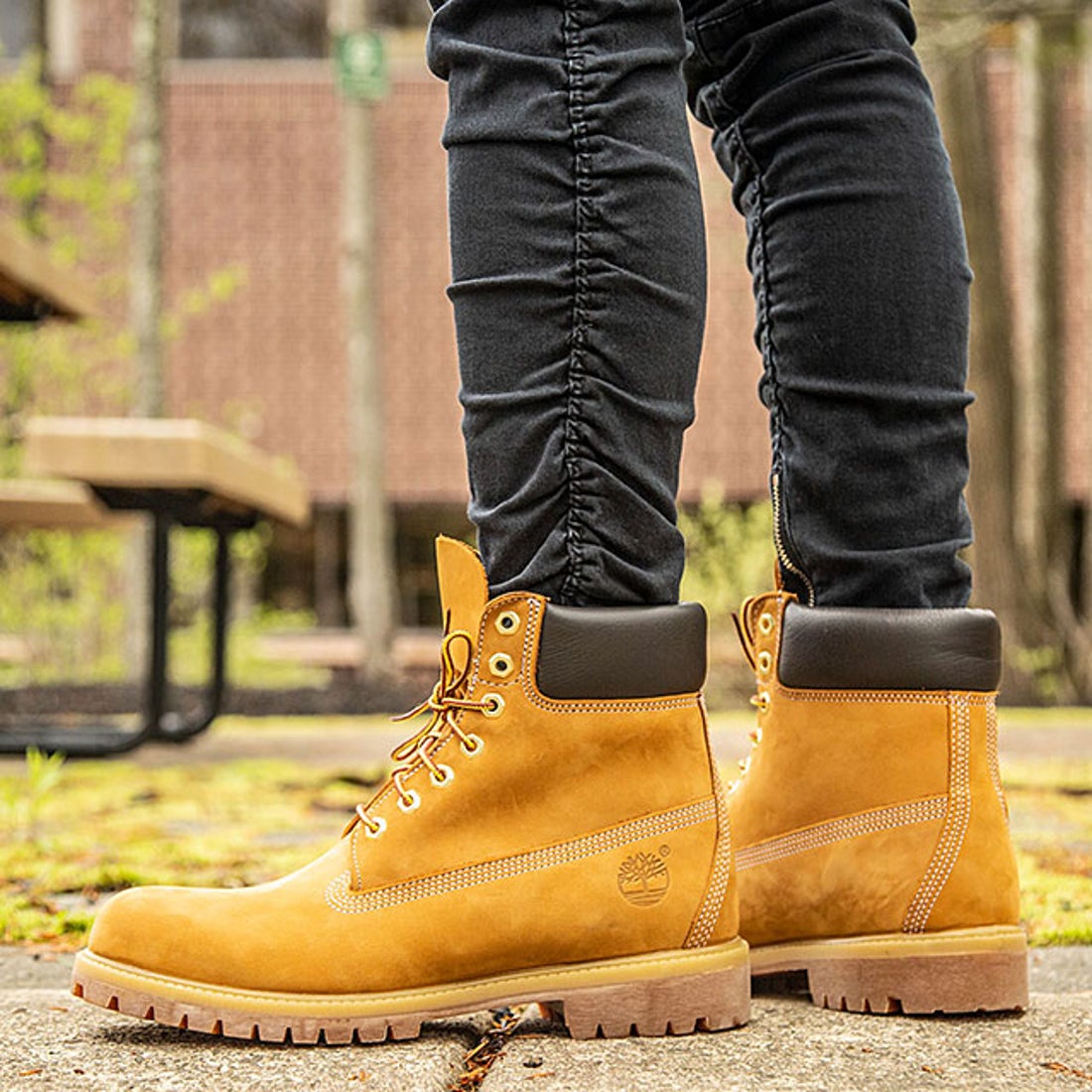 ティンバーランド Timberland 6inch Premium Boots Wheat [110061-713