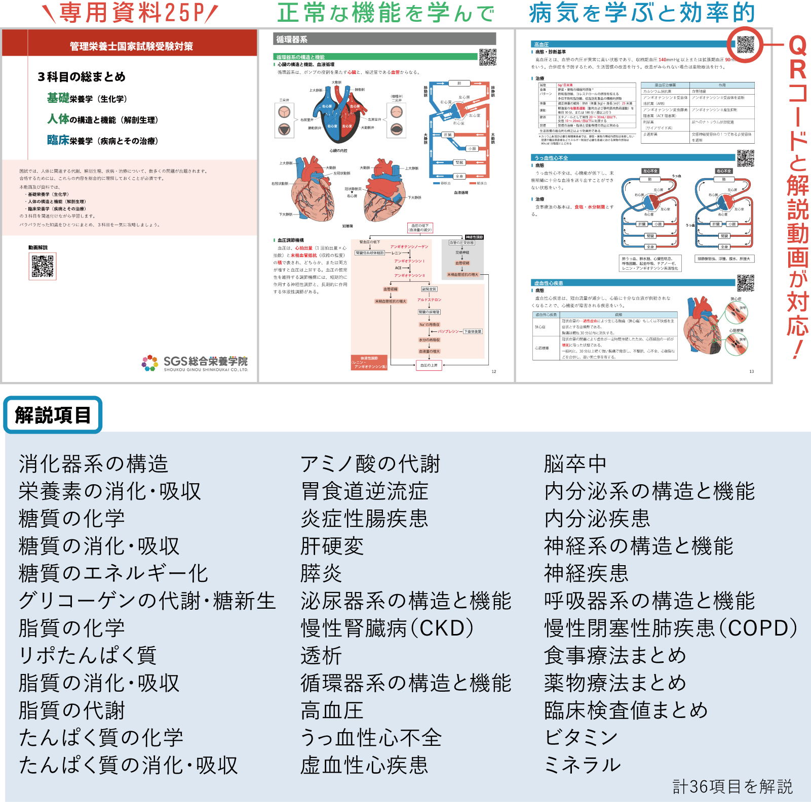 SGS直前対策教材お申し込みフォーム – SGSブログ