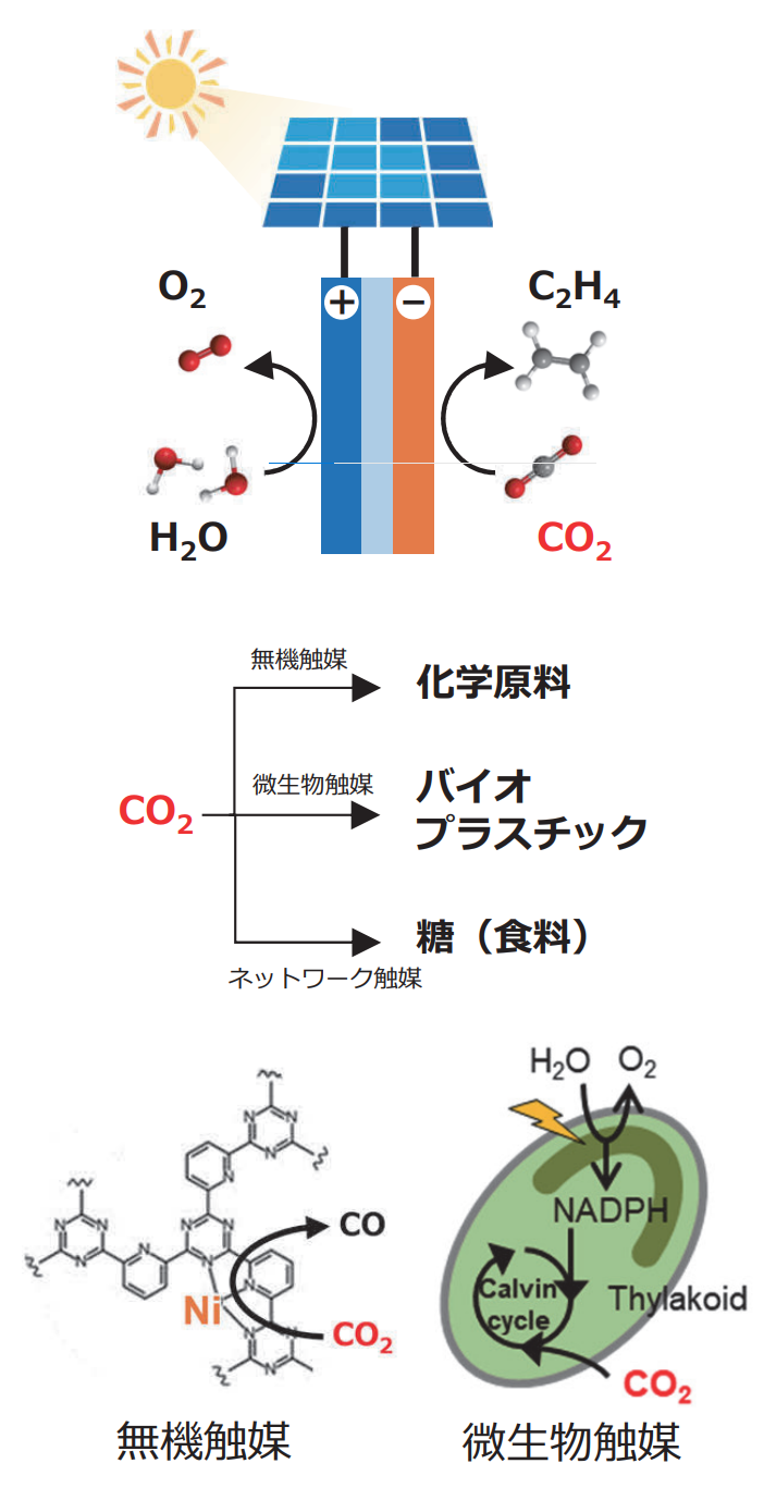 電気化学的なCO2の資源化技術 (Electrochemical CO2 resource