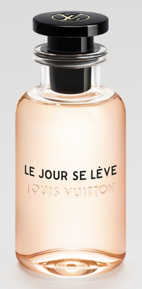 ルイ・ヴィトン】ルジュール・スレーヴ【口コミ含む総合評価/似てる