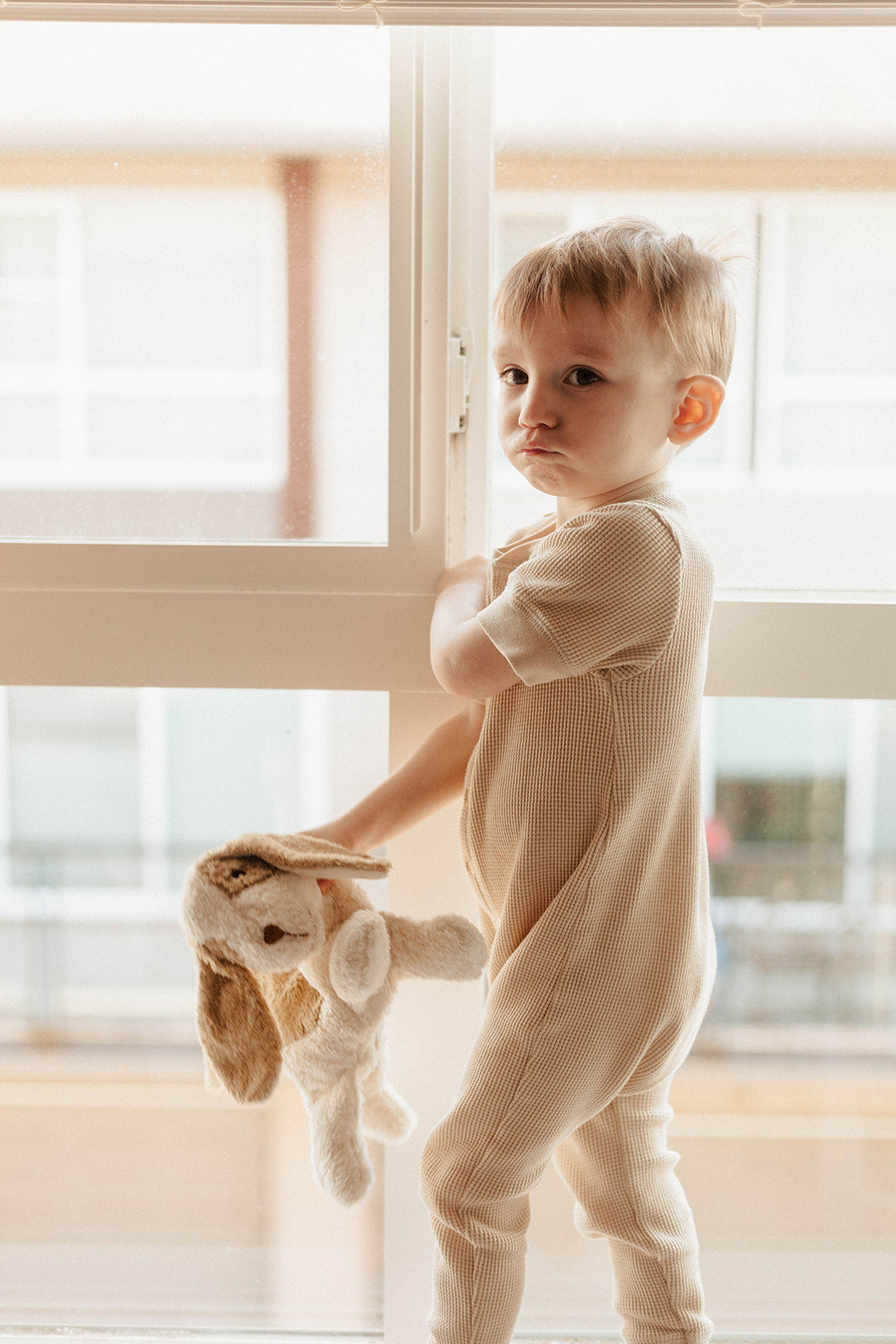 Cuddly Animal Dog (S)｜SENGER Naturwelt – SENGER Naturwelt Japan