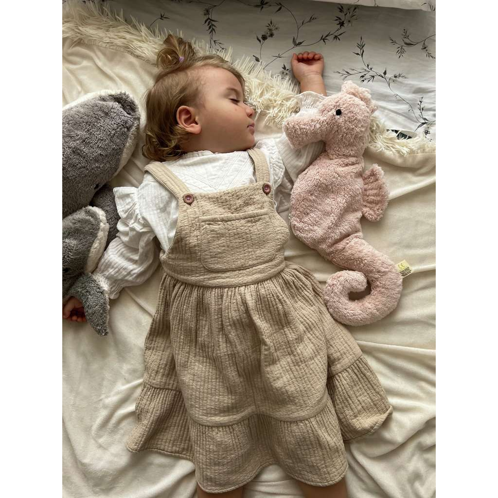 Cuddly Animal Seahorse (S)｜SENGER Naturwelt – SENGER Naturwelt Japan