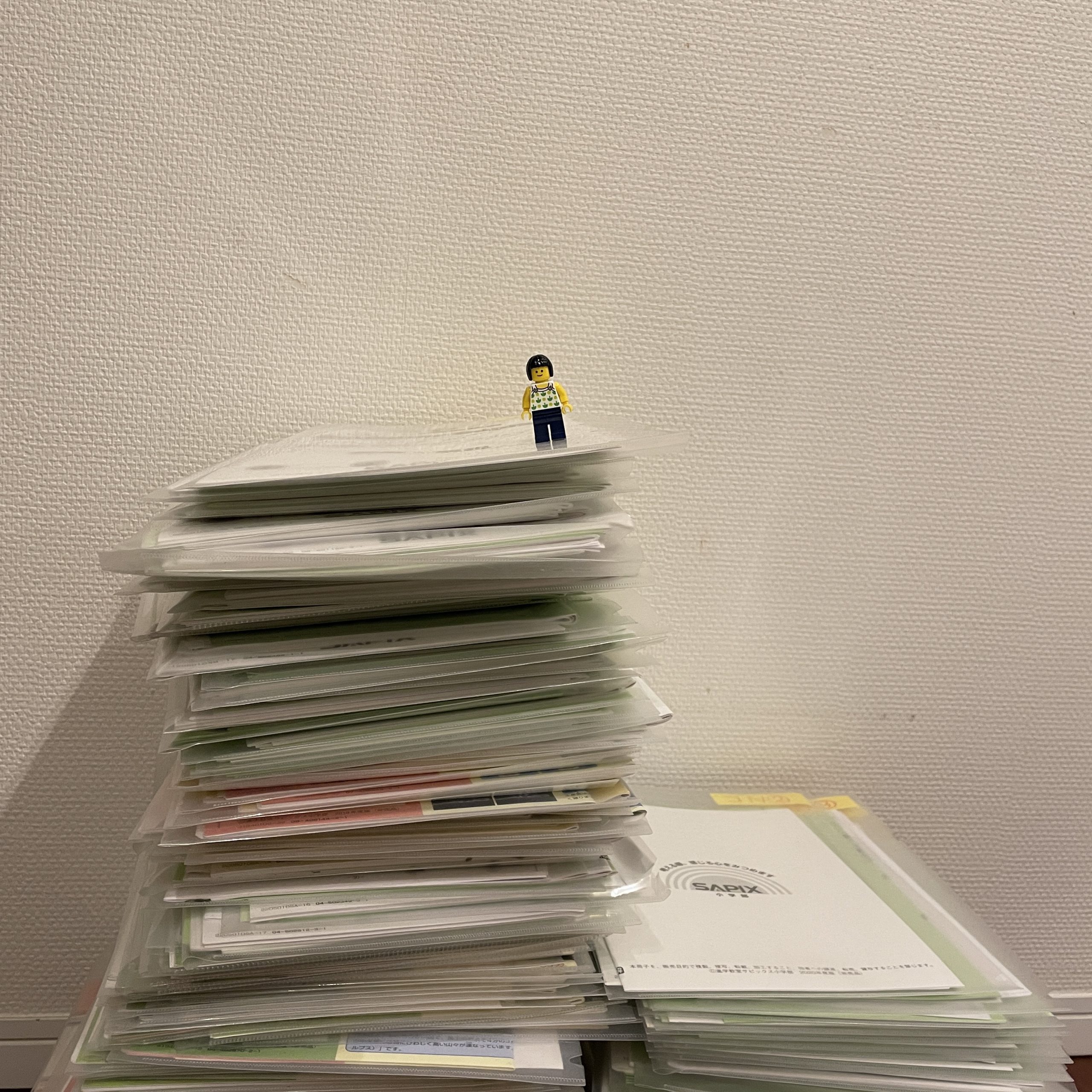 小5/サピックス：デイリーサピックスの廃棄処分 | 『戦記』