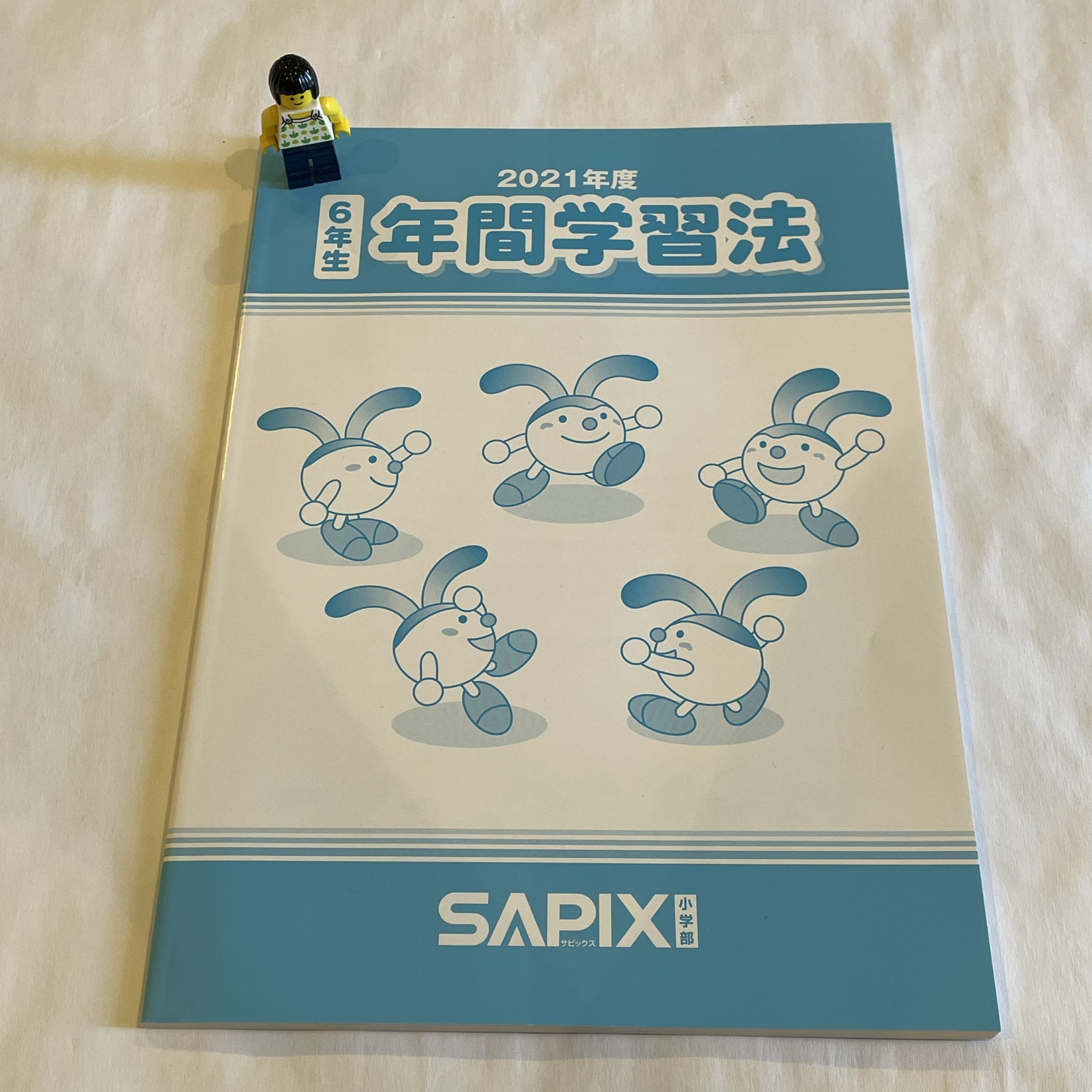 新小6/サピックス：「2021年度 6年生 年間学習法」 | 『戦記』