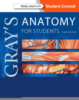 Gray's Anatomy for Students - 3rd Edition | Elsevier Shop