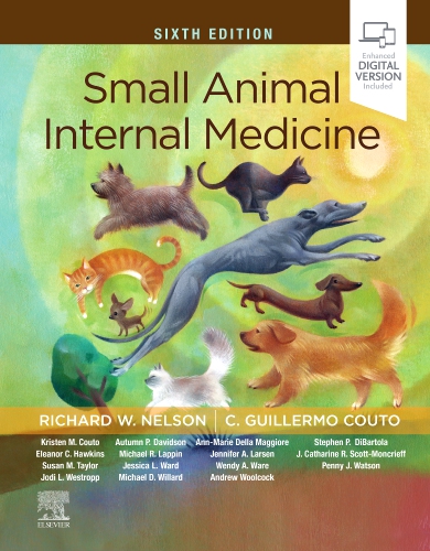 Small Animal Internal Medicine - 6th Edition | Elsevier Shop