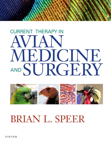 Current Therapy in Avian Medicine and Surgery - 9781455746712