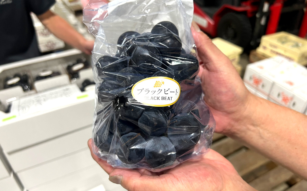 ブラックビート | 旬の青果 | Takamatsu Sea & Sun Market = 高松市