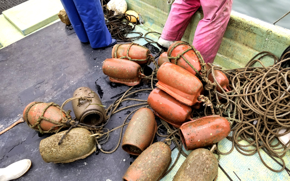 名和 真治さん・上田 真也さん | 出荷者紹介 | Takamatsu Sea & Sun