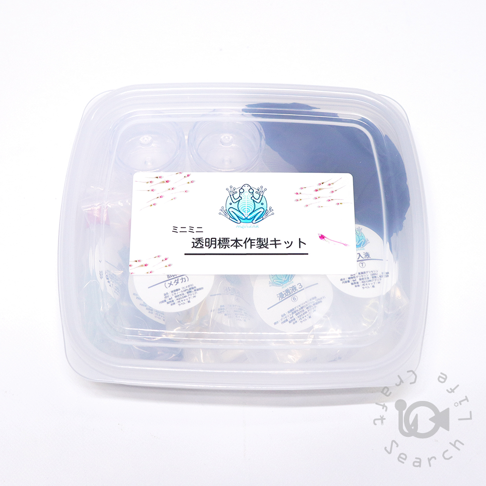 透明標本作製キット - 海水魚・小型水槽・人工ライブロック通販