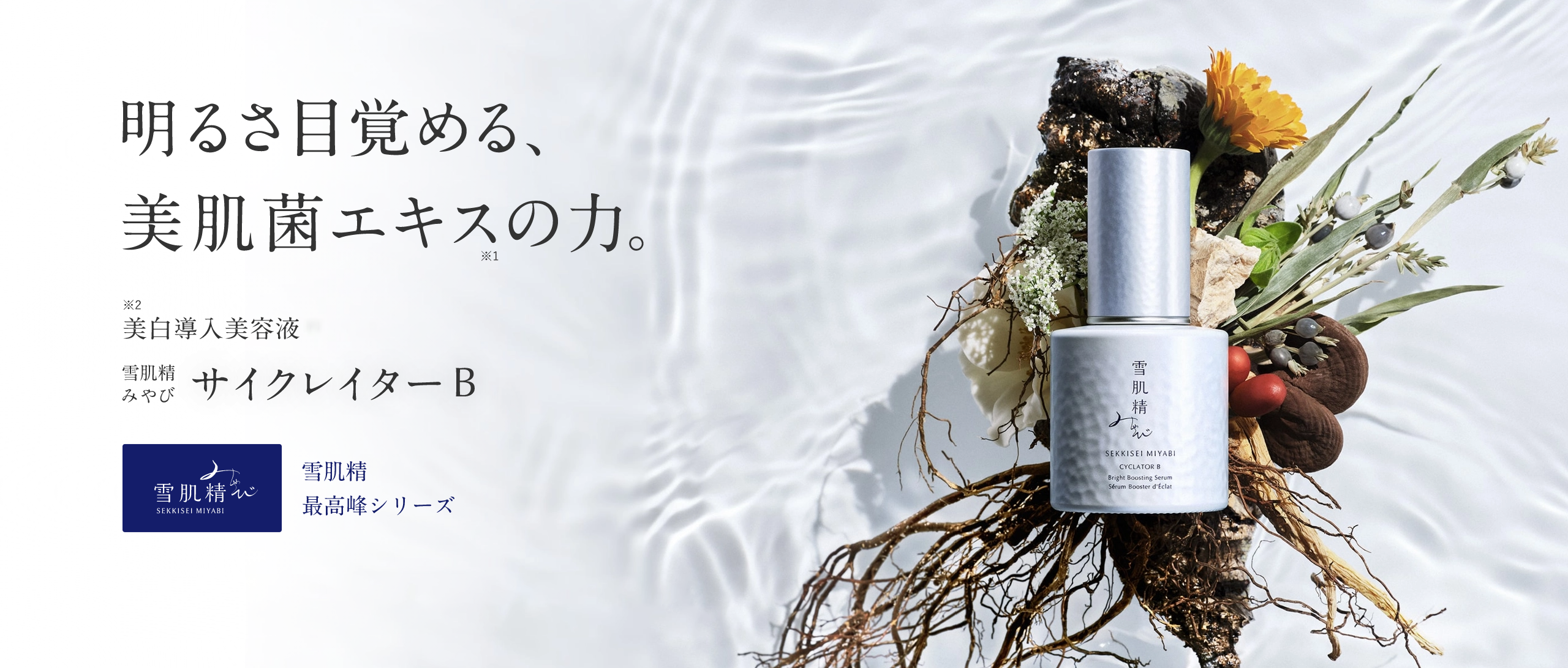 雪肌精 みやび サイクレイター B