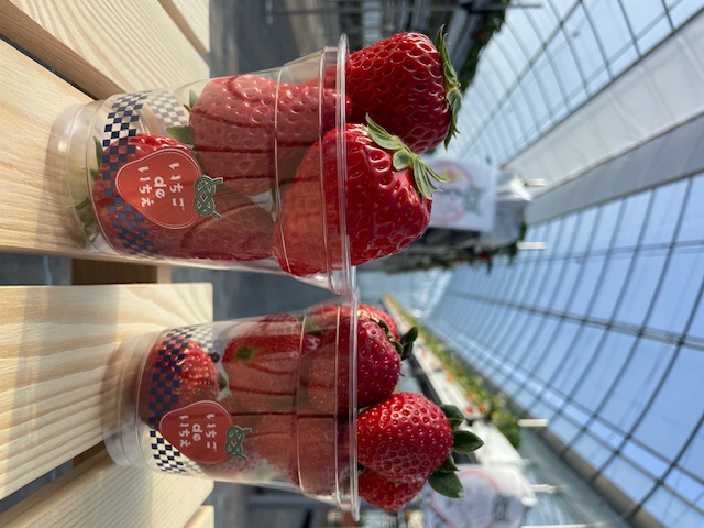 🍓いちごdeいちえ 島本町