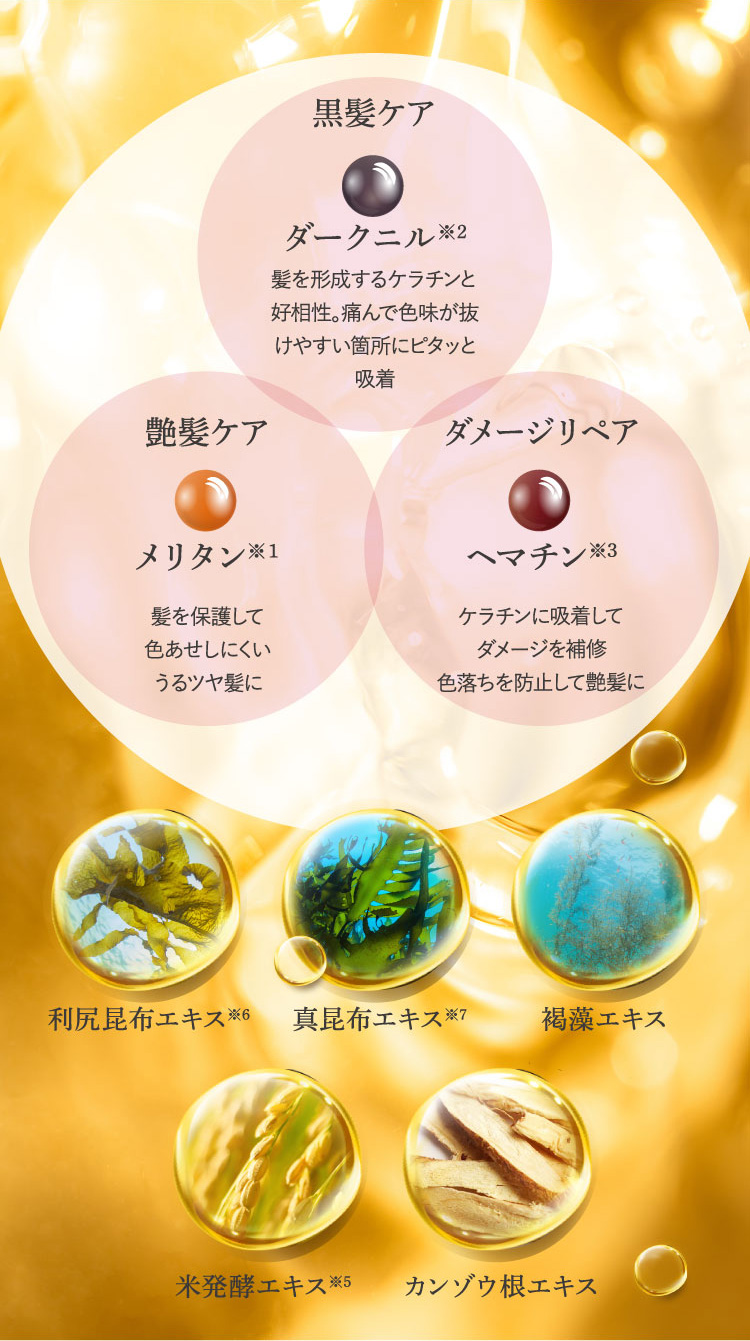 セレクタージュ アロマシャンプー クロ-[セレクタージュ]