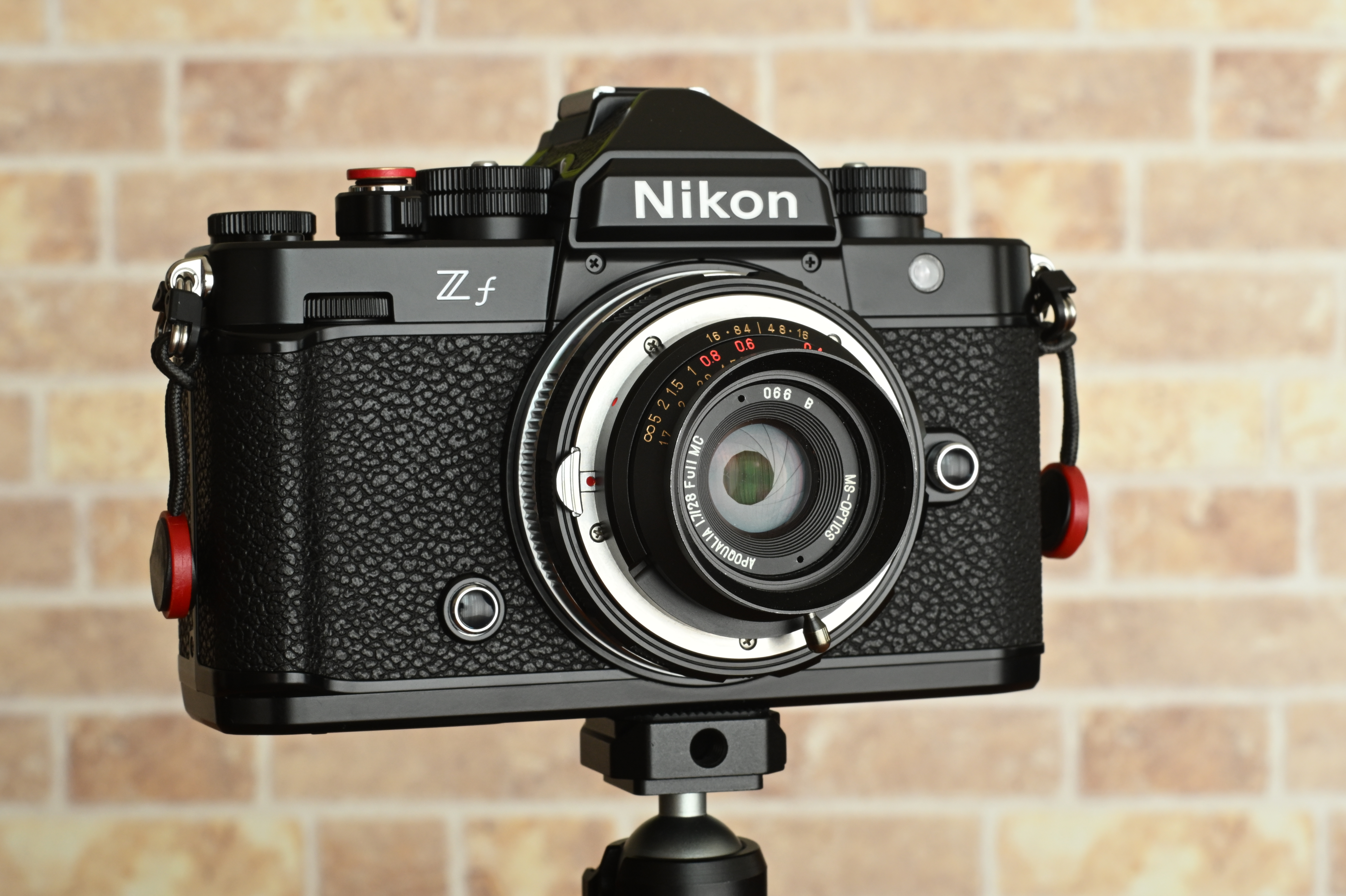 無階級イケメン選手権on NIKON Zf – Seize The Days Photography