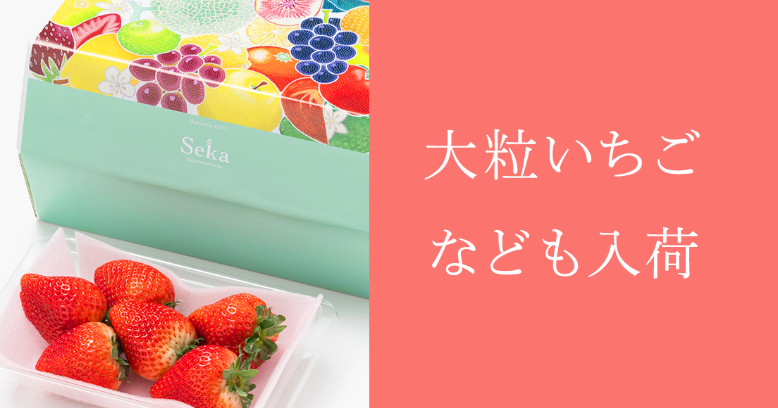 みかん ｜Seika（せいか）国産フルーツギフト専門店