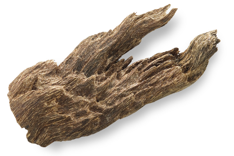 株式会社 精華堂｜香木について