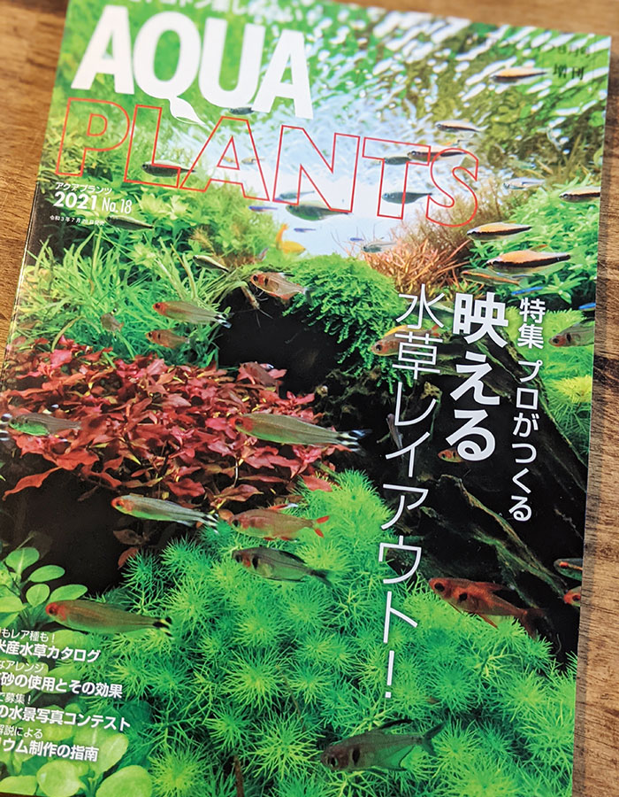 アクアプランツ AQUA PLANTS No.1～No.12 アクアライフ増刊 【公式通販】