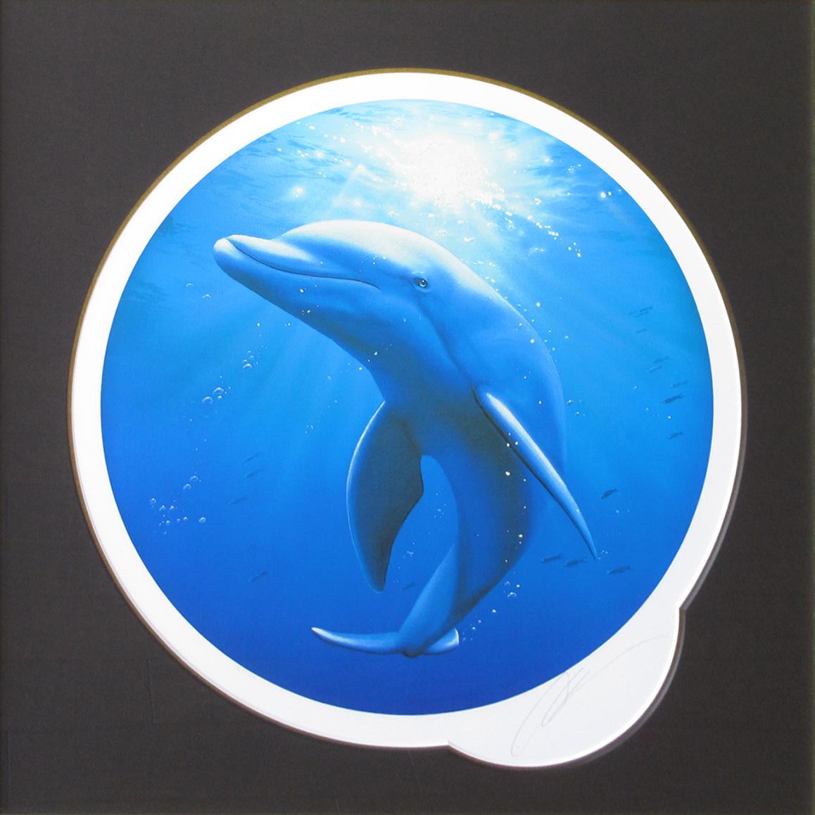 ルビーオブザサウスパシフィック | ｜正光画廊