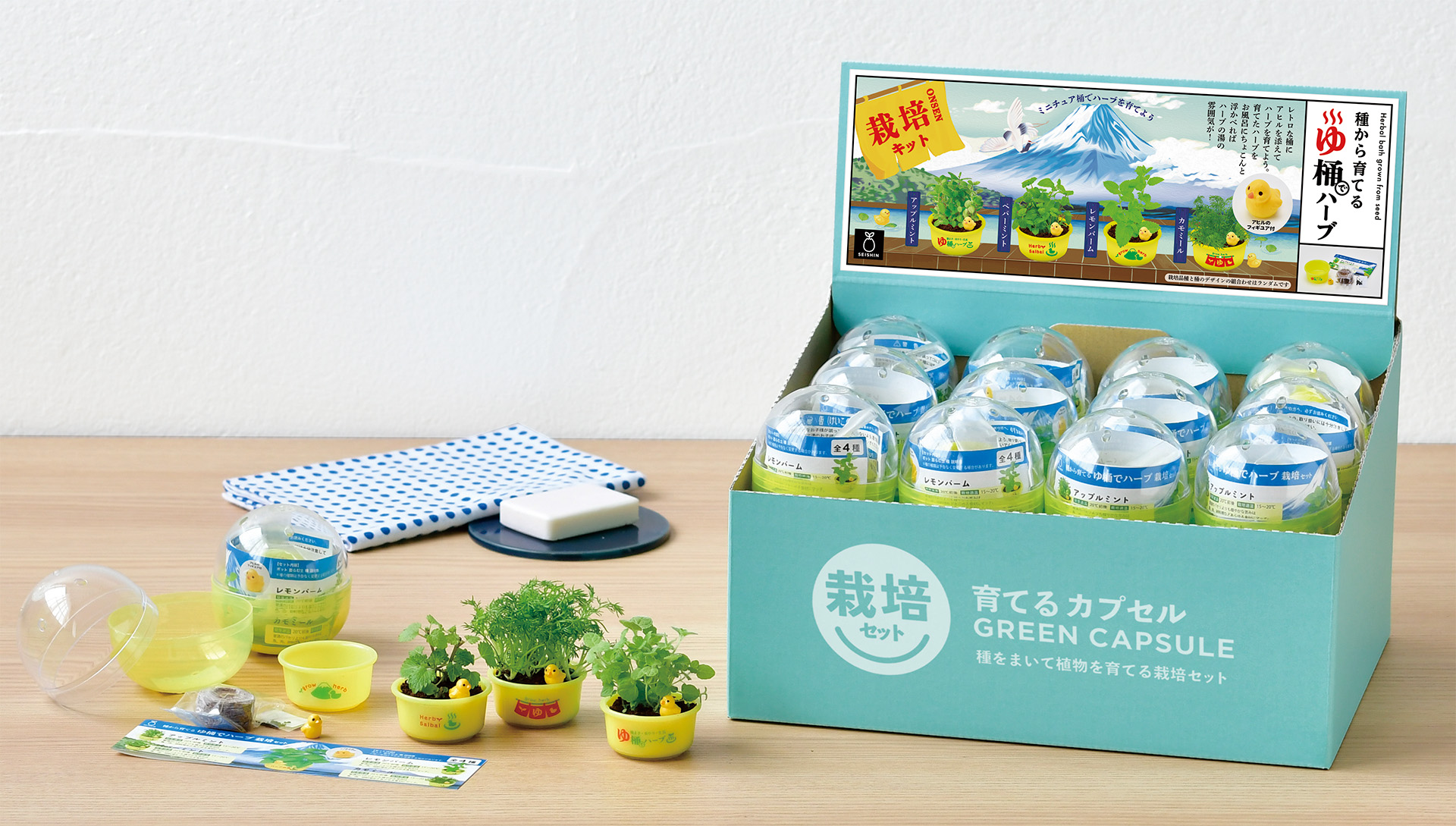 レトロ感あふれるミニ風呂桶でハーブを育てる「ゆ桶でハーブ栽培