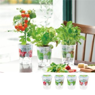 Fresh feel - SEISHIN PLUS