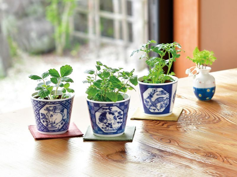 染付小紋 草花 BONSAI｜蕎麦おちょこサイズ感がかわいい