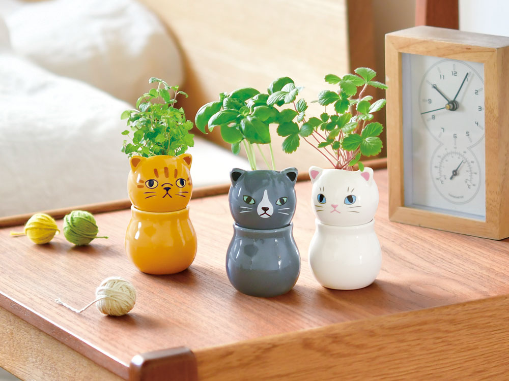 COROCORO cat コロコロキャット｜目線を変えて表情の変化を楽しむ猫の