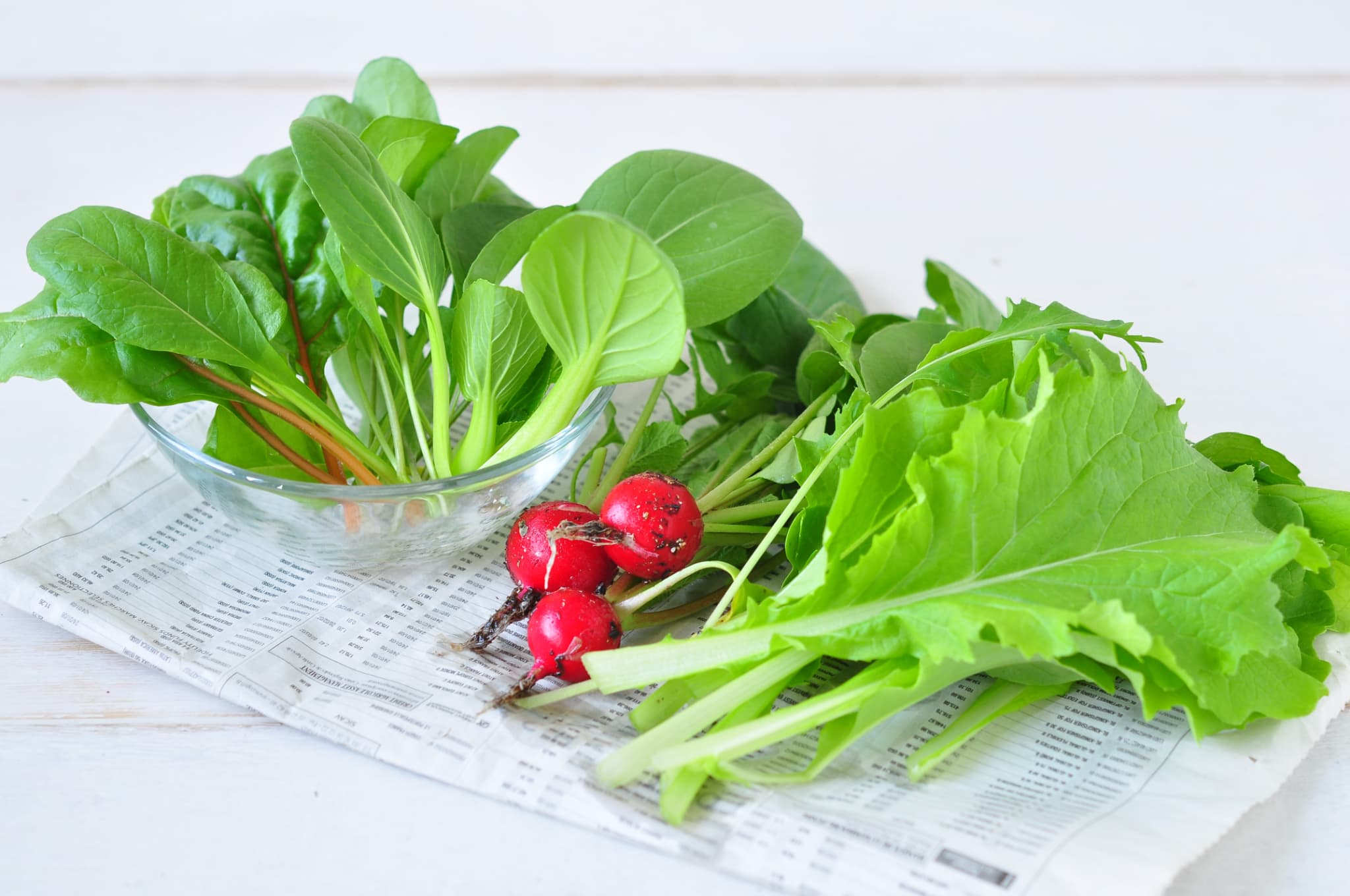 育てるカプセルシリーズ - SEISHIN PLUS