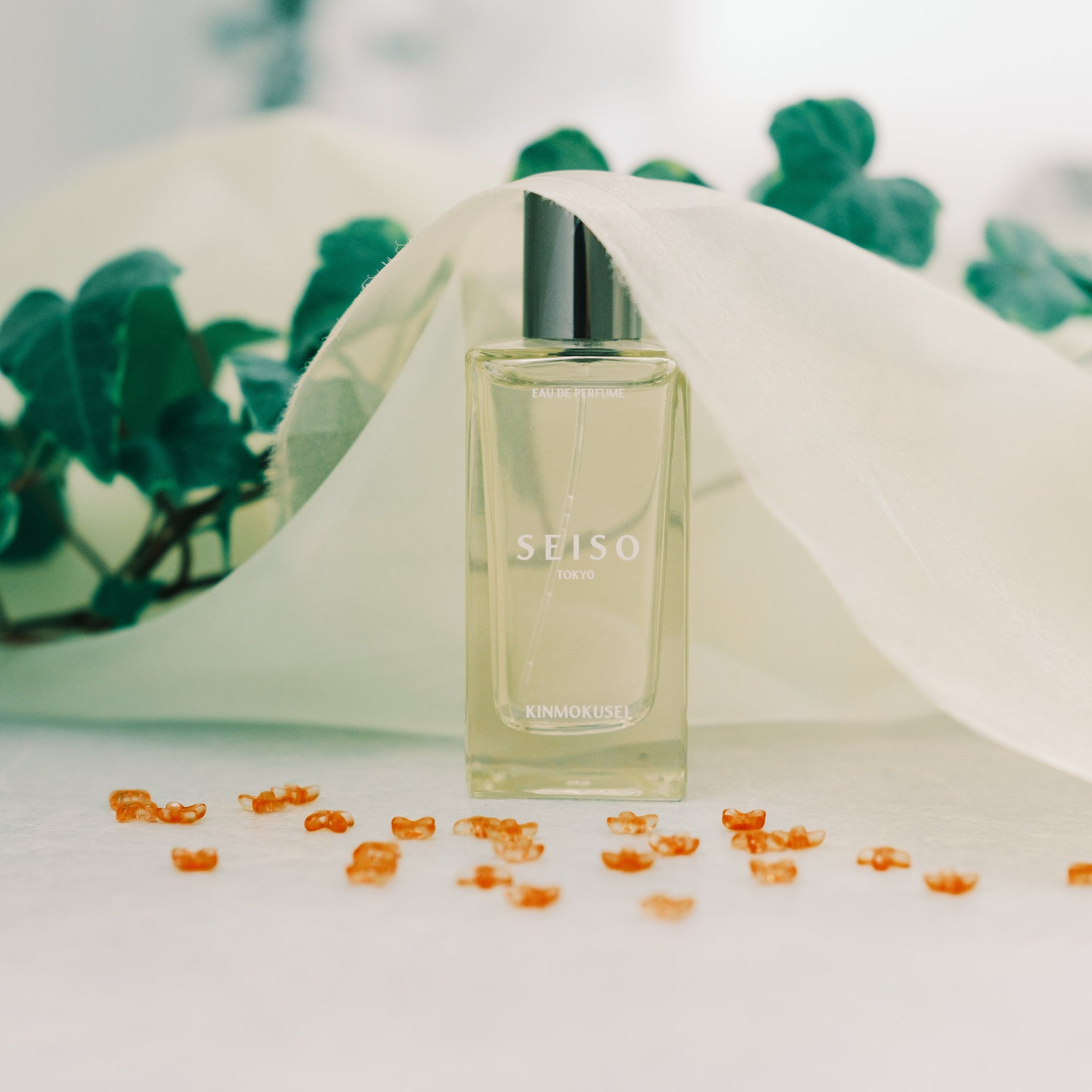 ホームページ – SEISO