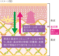 APPROACH X & APPBで叶える、未来のキレイ! | きれいのレシピ by