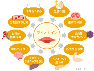 エイ エックス セブン ビーエム セラム ＆ エモーショナル プロ