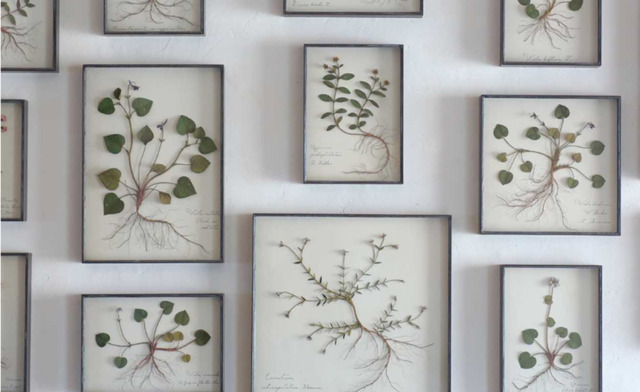 誰もが二度見する、繊細な「鉄の草花」｜彫刻家・モリソン小林さん