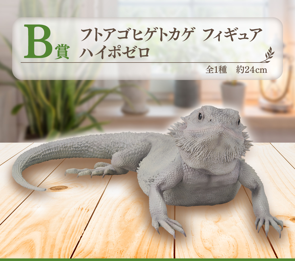 一番くじ 爬虫類＆両生類～Tiny Friends～vol.2｜一番くじ倶楽部