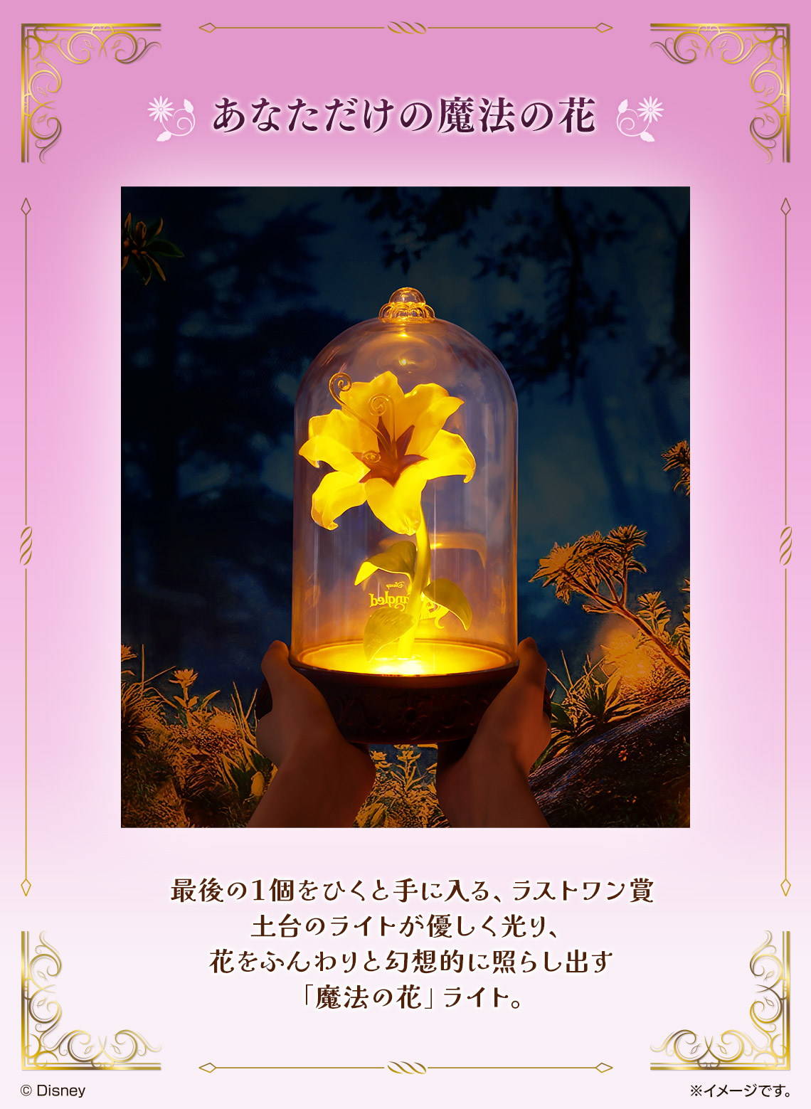 バンダイ ディズニープリンセス 魔法の花ライト ディズニープリンセス
