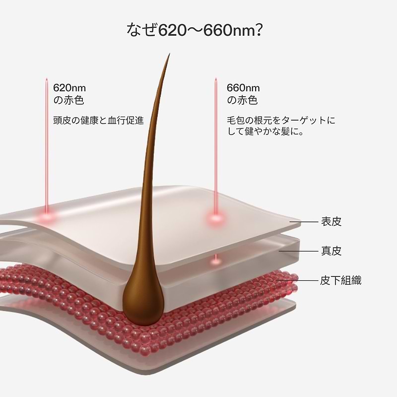 LED育毛ヘルメット | 薄毛 治療器 | カレントボディ ジャパン