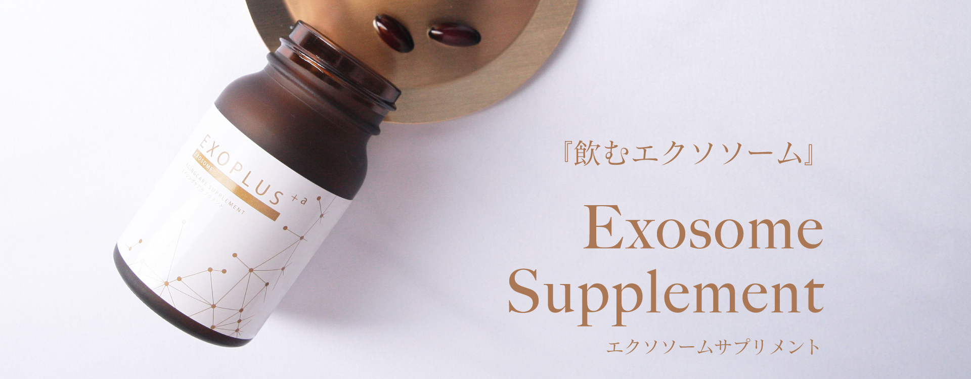 HAAB SKIN公式オンラインショップ エクソソーム再生美容液の販売