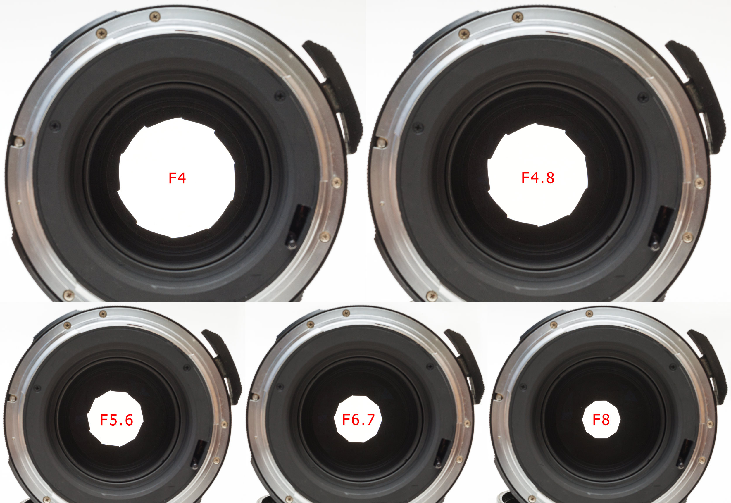 Pentax 67 165mm F2.8: Lens review, Bokeh effect, Details and