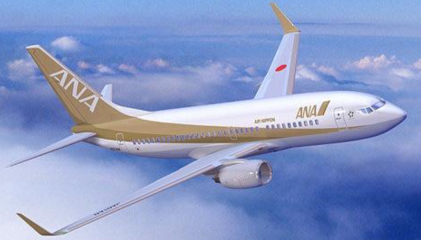 ANA、B737-700型機が2021年6月をもって退役する事を発表 | sky-budget
