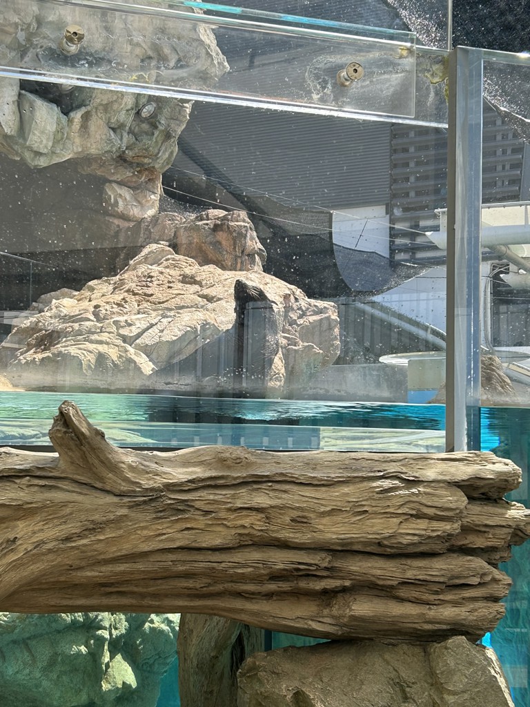 ホワイトUVレーザー | episteme（エピステーム）