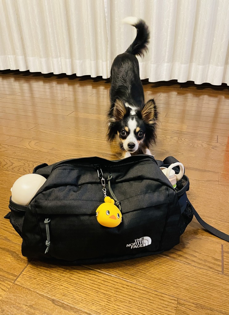 CLASSIC KANGA 2 (クラシックカンガ2)の口コミ一覧 | リアルな口コミ