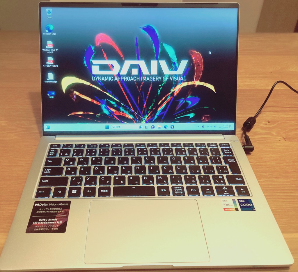 DAIV 4P(22074P-ADLASW11) ジャンク品扱い DAIV 4P(22074P-ADLASW11