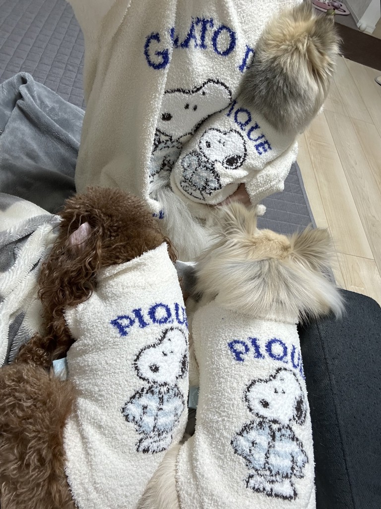 PEANUTS】オリジナルアートブランケットの口コミ一覧 | リアルな口コミ