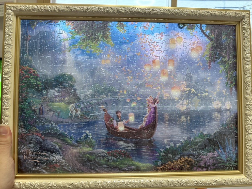 TEN-DSG500-635 ディズニー Tangled（塔の上のラプンツェル） 500