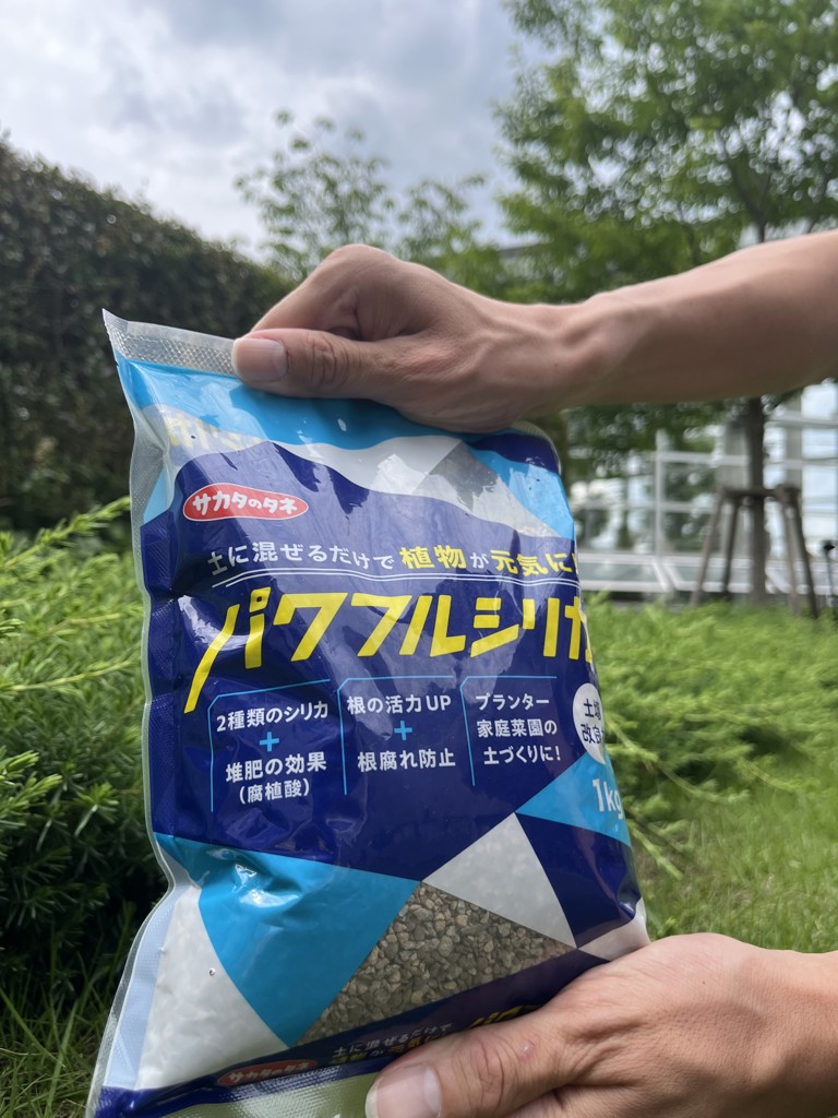 パワフルシリカ｜種（タネ）,球根,苗,資材,ガーデニンググッズの通販は