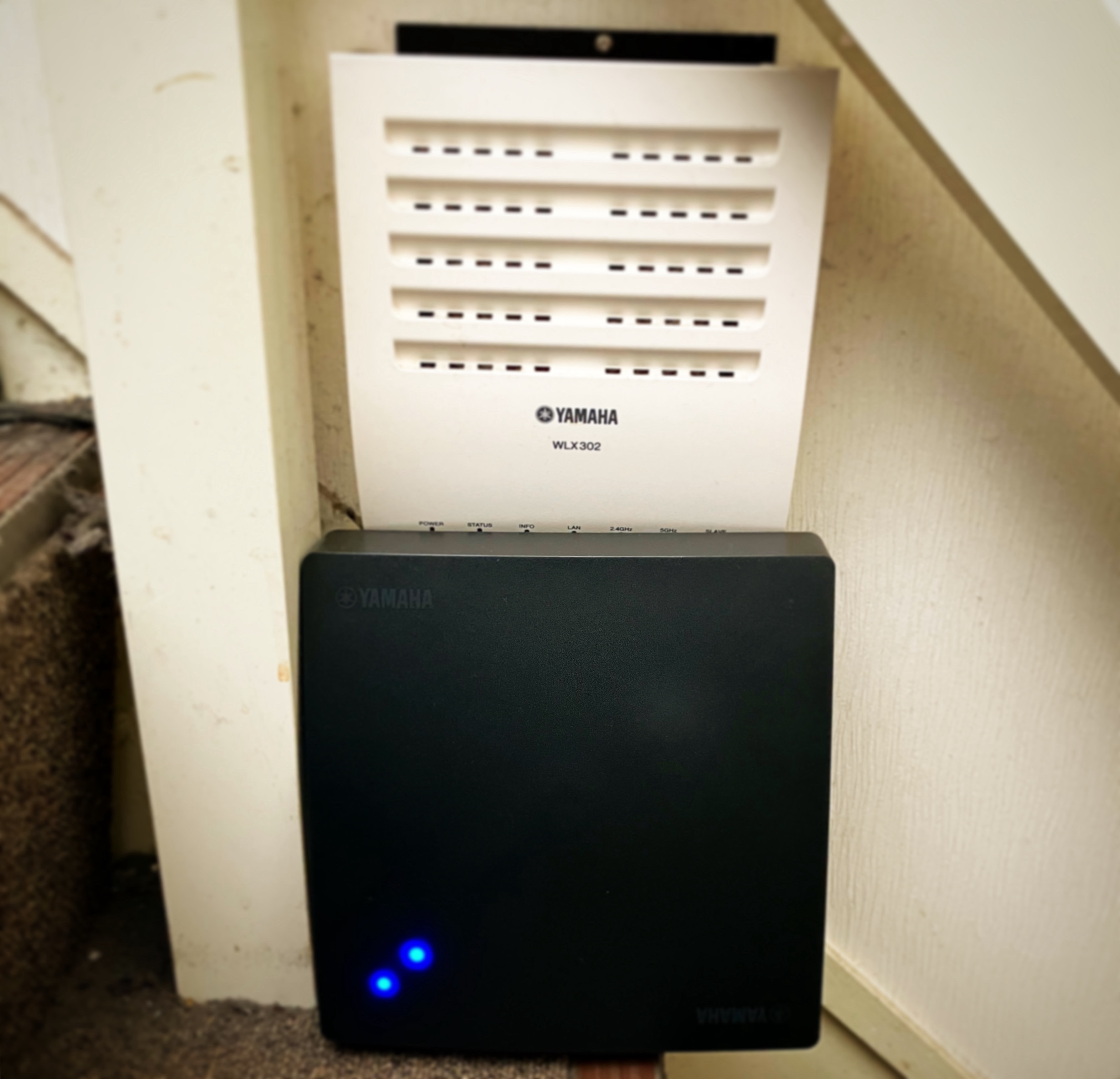 65d1410b-6dfe-44c1-ba10-