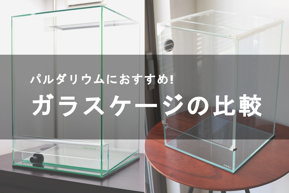 爬虫類ケージ パルダリウムケージ テラリウム ビバリウム