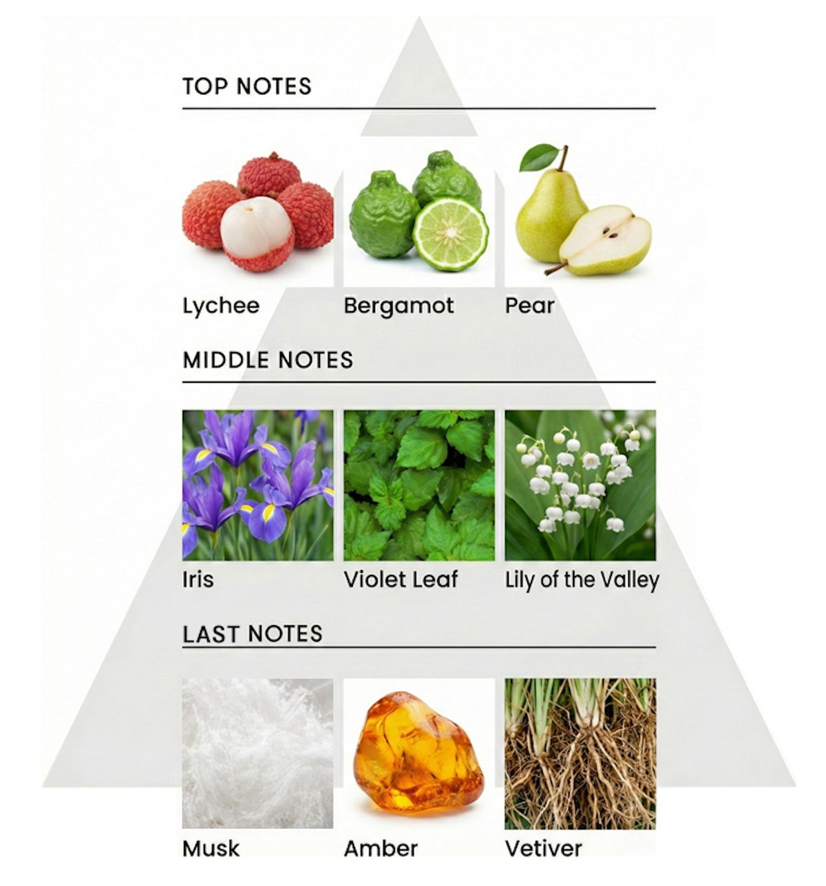 1945 オードトワレ クリスタル フォレストグリーン ｜香水【送料無料