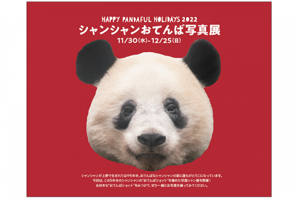 松坂屋上野店で「HAPPY PANDAFUL HOLIDAYS 2022」が開催中（12/25まで