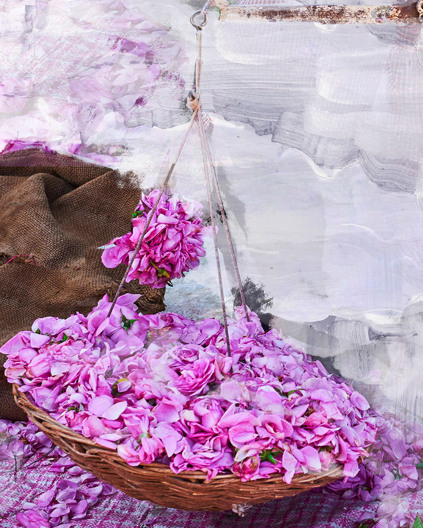 BYREDO: EAU DE PARFUM (YOUNG ROSE) | DSMG E-SHOP