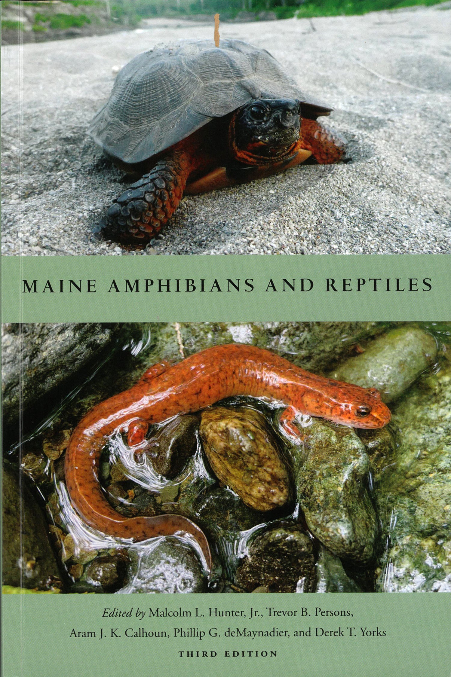 Maine Amphibians and Reptiles: Third Edition – Maine Historical